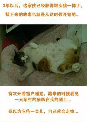 02.jpg